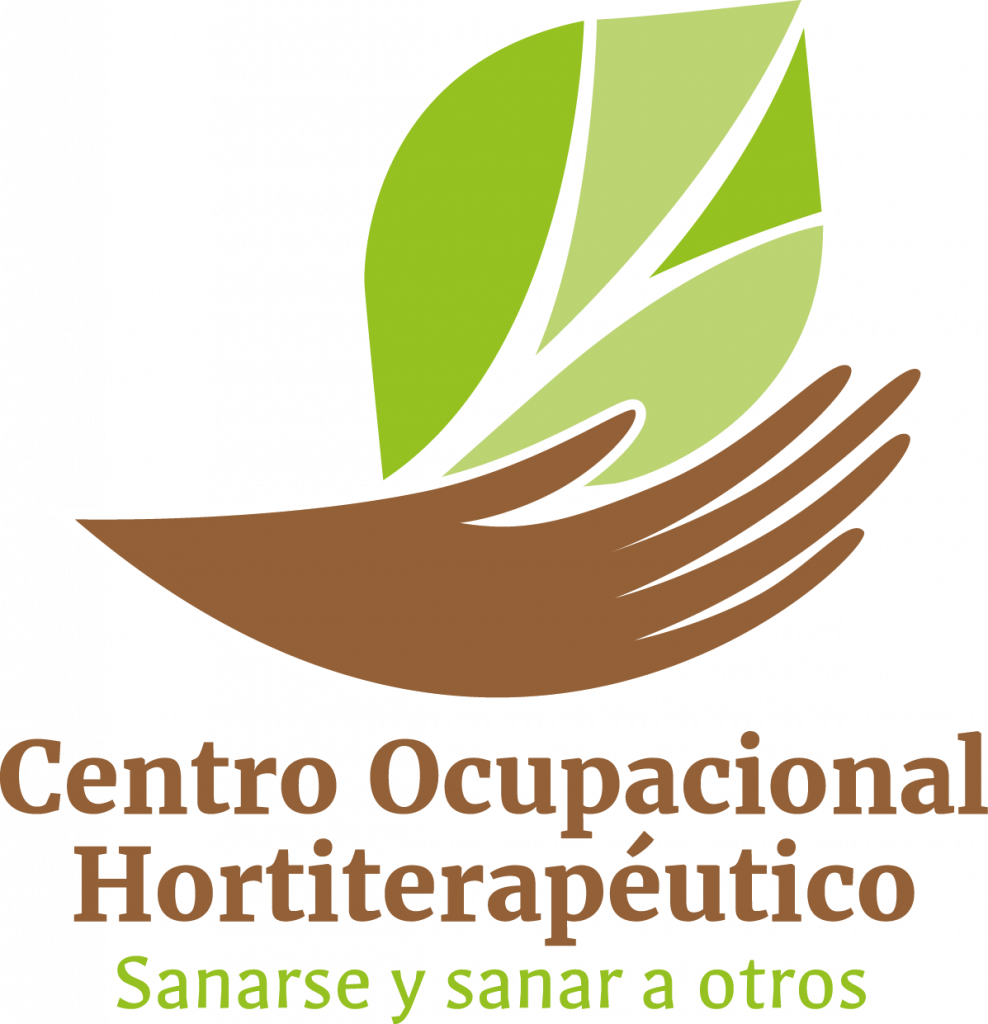 Fondacio in Chile COH: Medicinal plants at home.