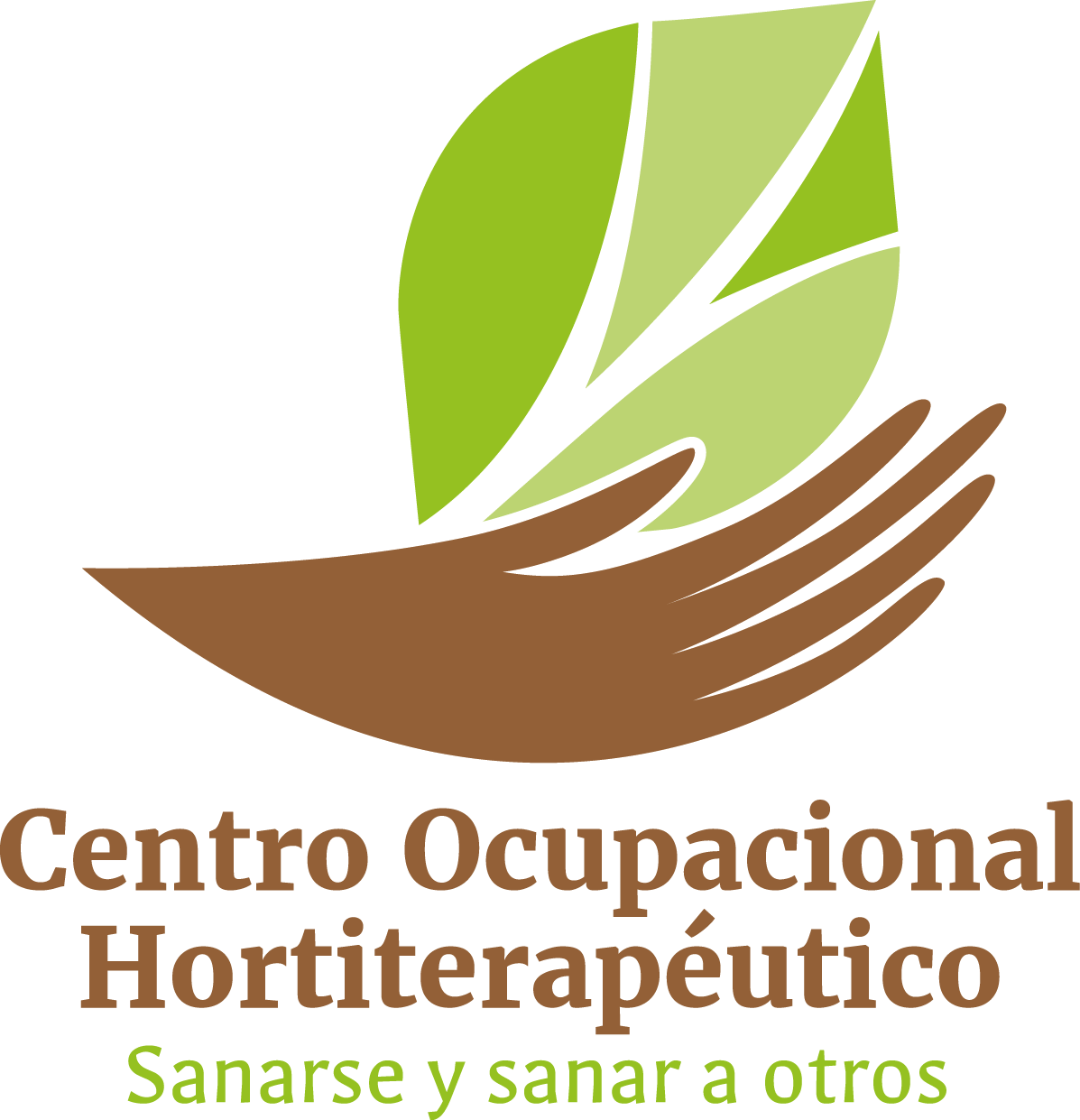 Read more about the article Fondacio in Chile COH: Medicinal plants at home.