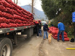 Read more about the article 450 bags of potatoes donated to Fondacio Chile.