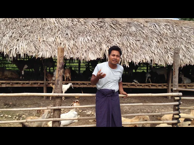 Green Pastures by Fondacio: empowering an entire village