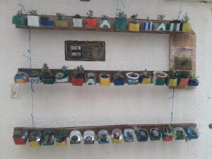 Agroecology Fondacio Colombia